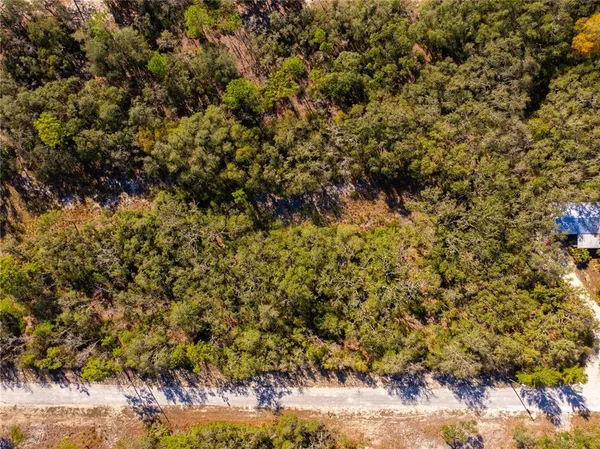 $27,000 | 8149 Renova Drive, Webster, FL 33597