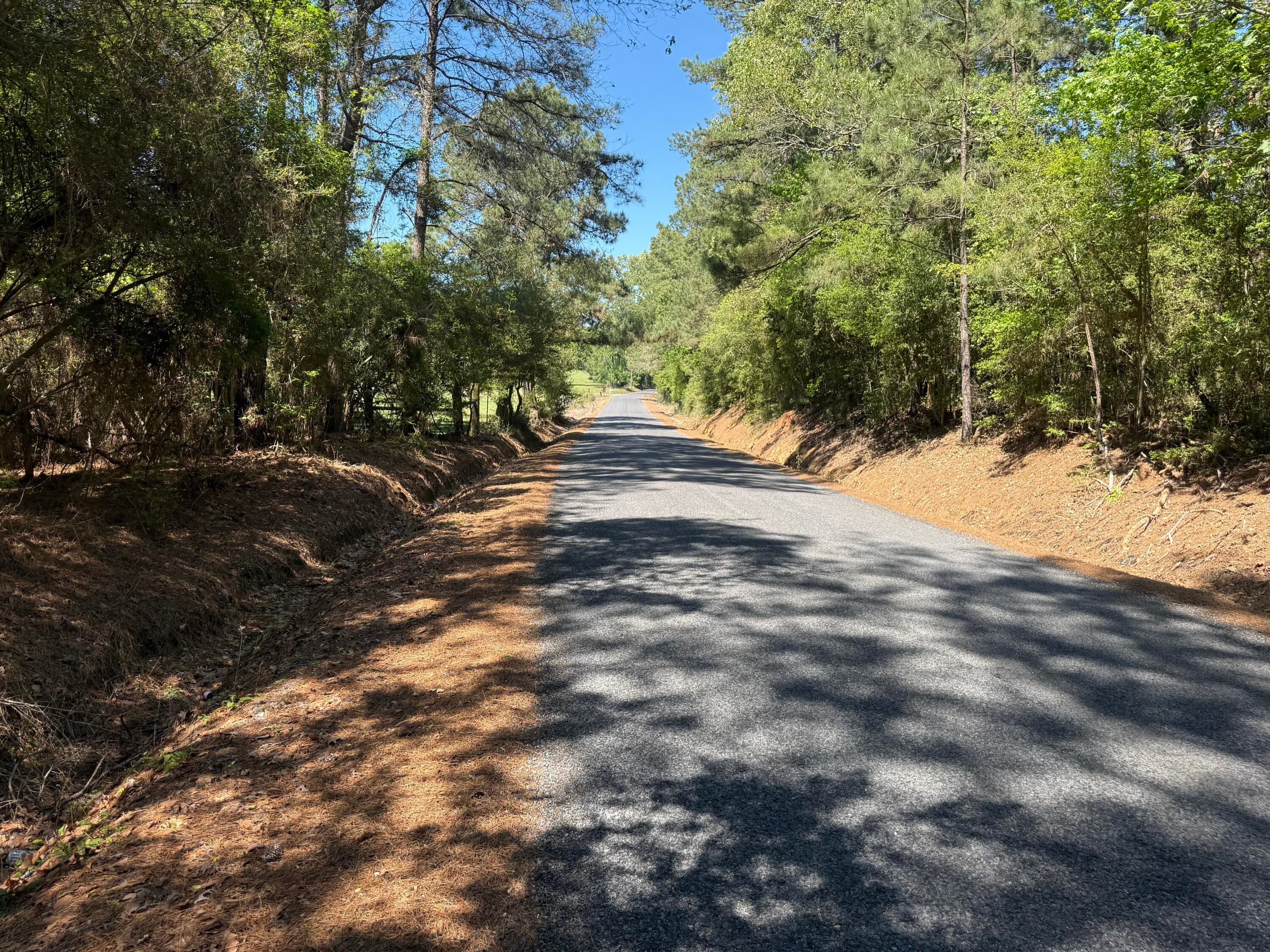 Hamp Jones Road Merryville, LA 70653 - Photo 1 of 1 Gallery Image 1