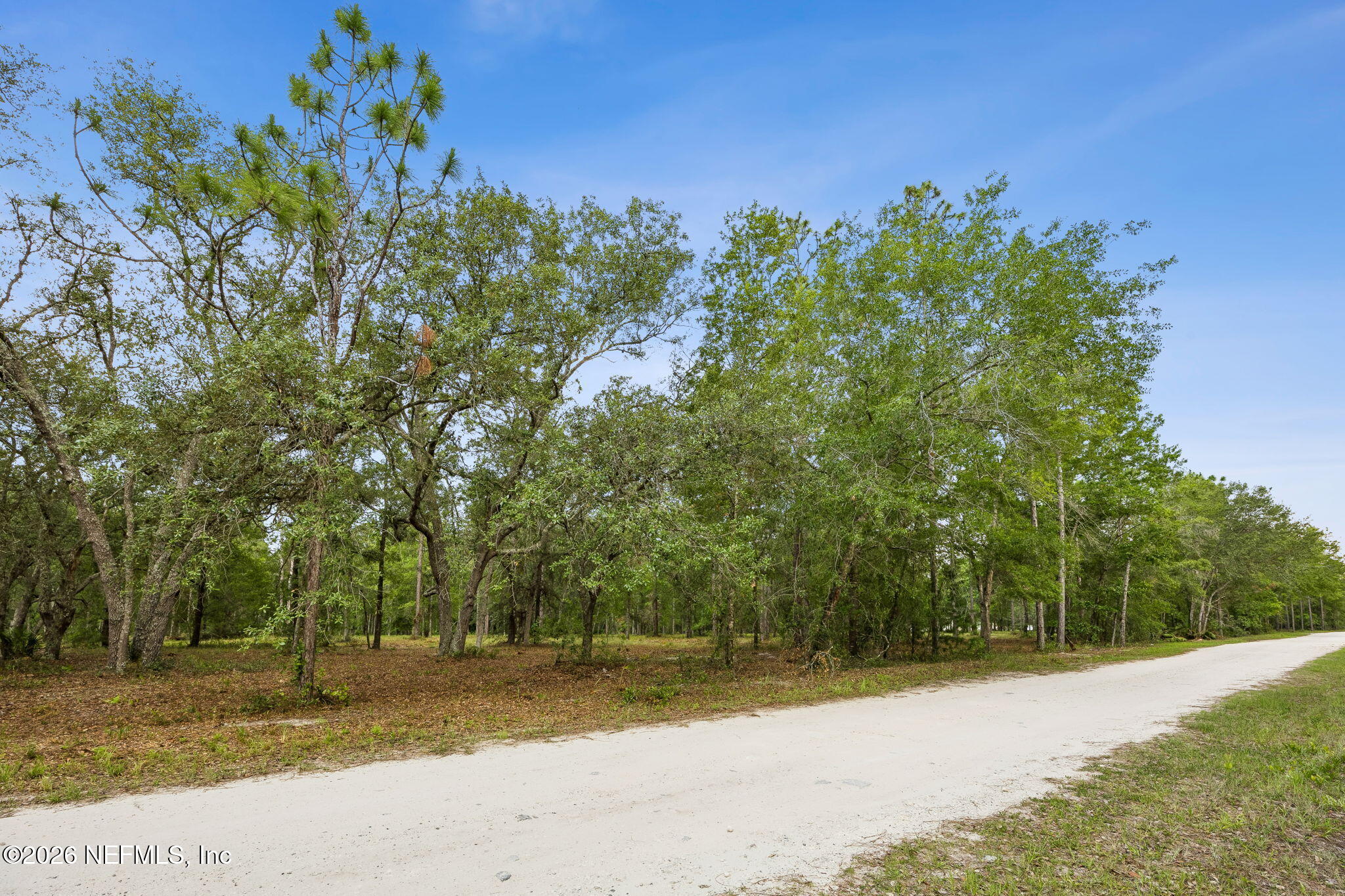 6015 Plantation Court Keystone Heights, FL 32656 - Photo 10 of 16 13-web-or-mls-6015 Plantation Ct-13