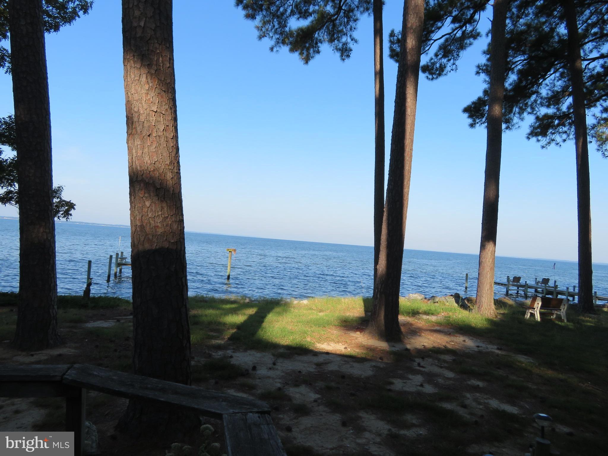 18375 River Road Tall Timbers, MD 20690 - Photo 4 of 22 View