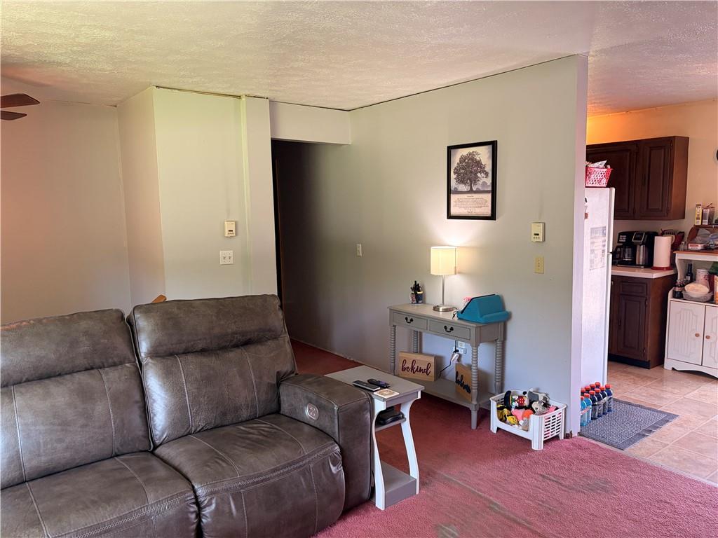 25 Byers Road Burnside, PA 15721 - Photo 6 of 24