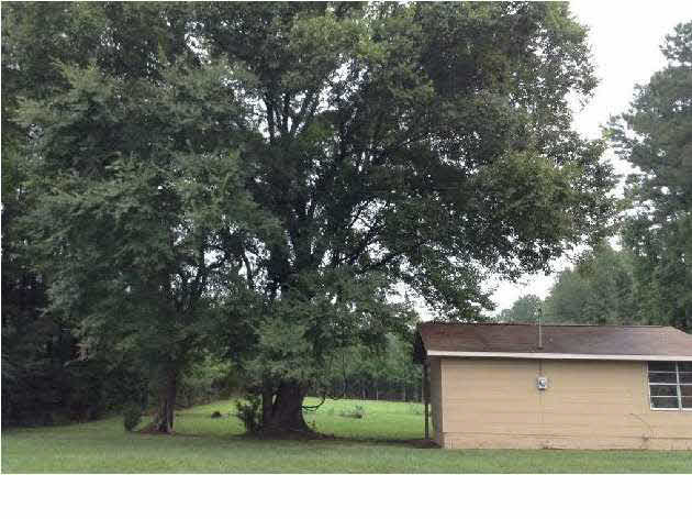 606 Hickory Ridge Road Florence, MS 39073 - Photo 24 of 28 Photo 24