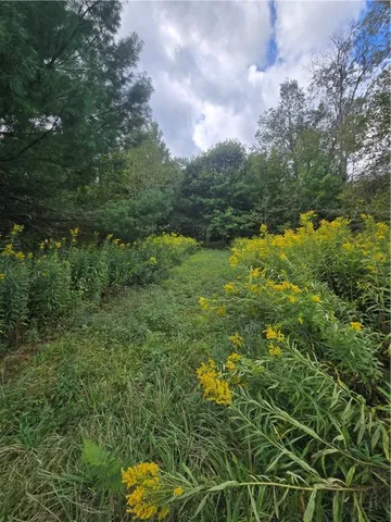 $115,000 | 11521 Rehm Road, Florence, NY 13316