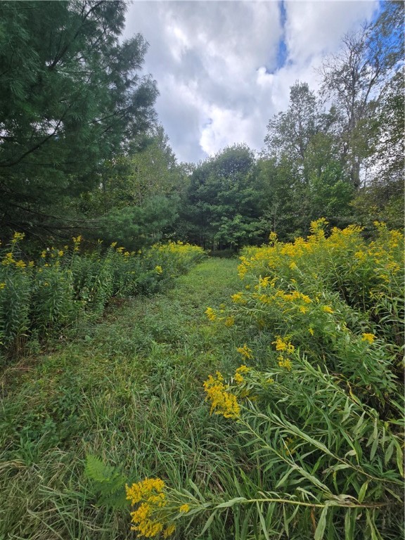 11521 Rehm Road Camden, NY 13316 - Photo 12 of 35