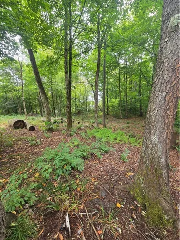 $115,000 | 11521 Rehm Road, Florence, NY 13316