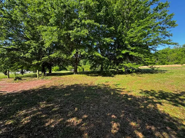 a view of yard with green space