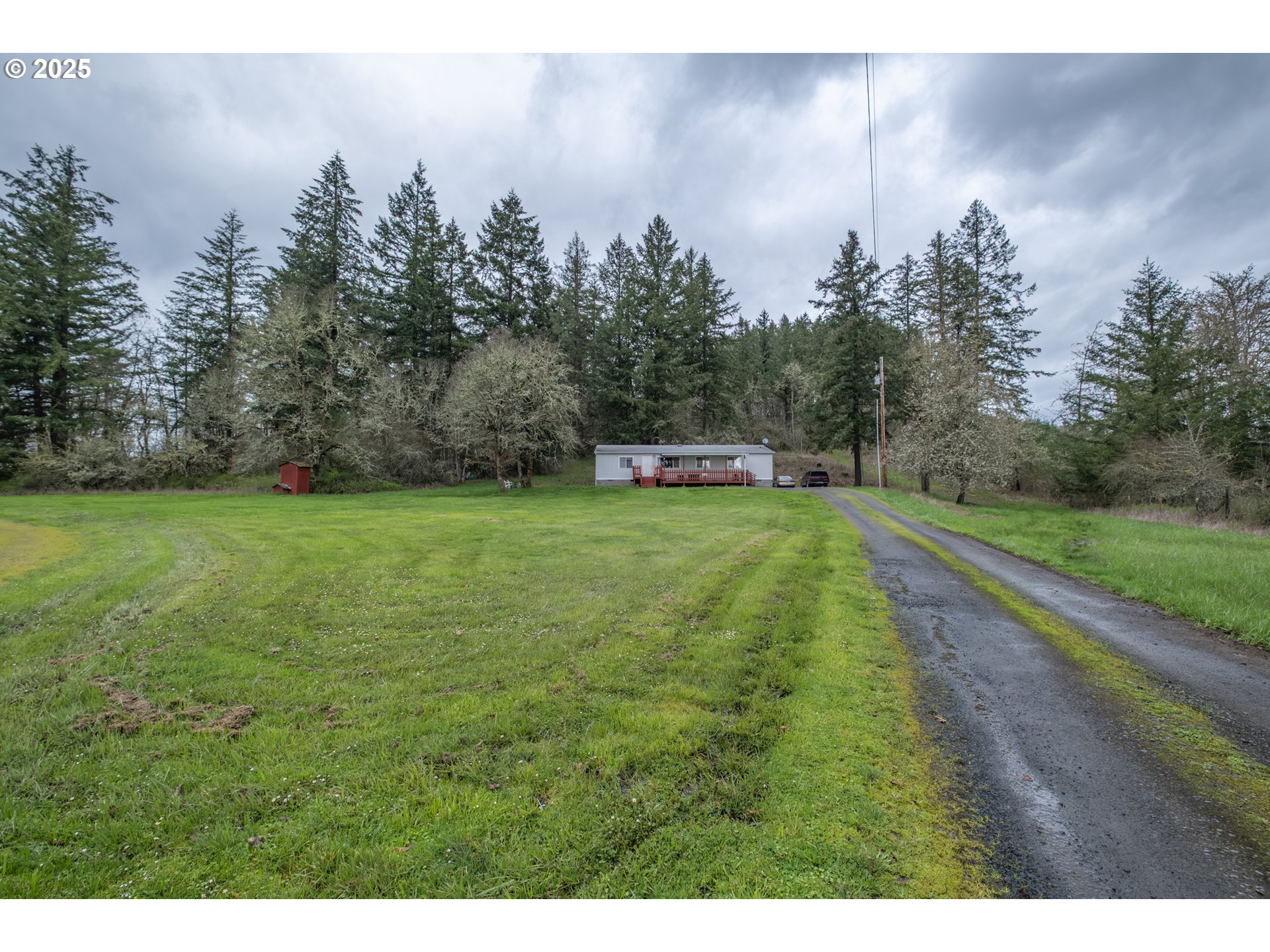 31101 Berlin Road Lebanon, OR 97355 - Photo 29 of 41 a view of a green field with trees in the background