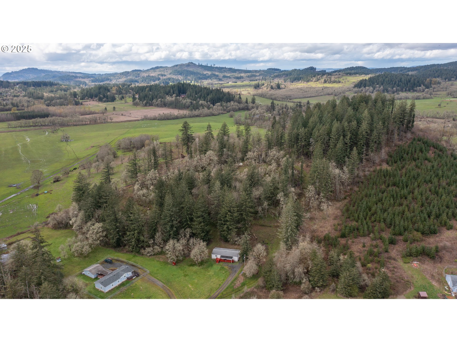 31101 Berlin Road Lebanon, OR 97355 - Photo 37 of 41