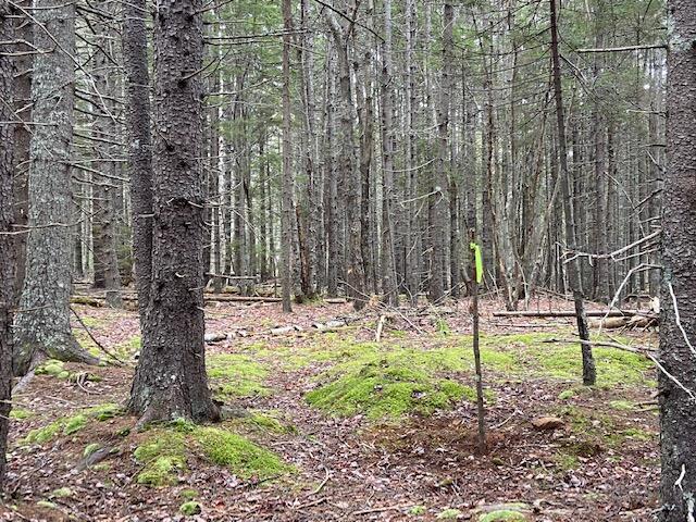 M36-l8&l9 Main Road Islesboro, ME 04848 - Photo 15 of 22 IMG_8390