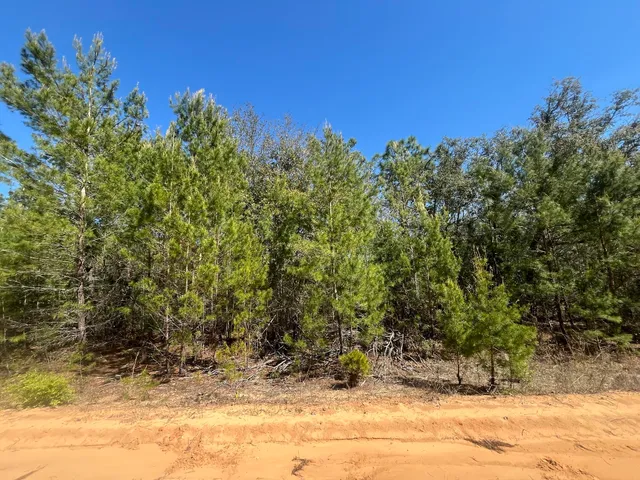 a view of a yard with a tree