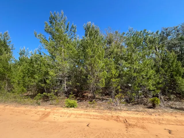 a view of a backyard of the house