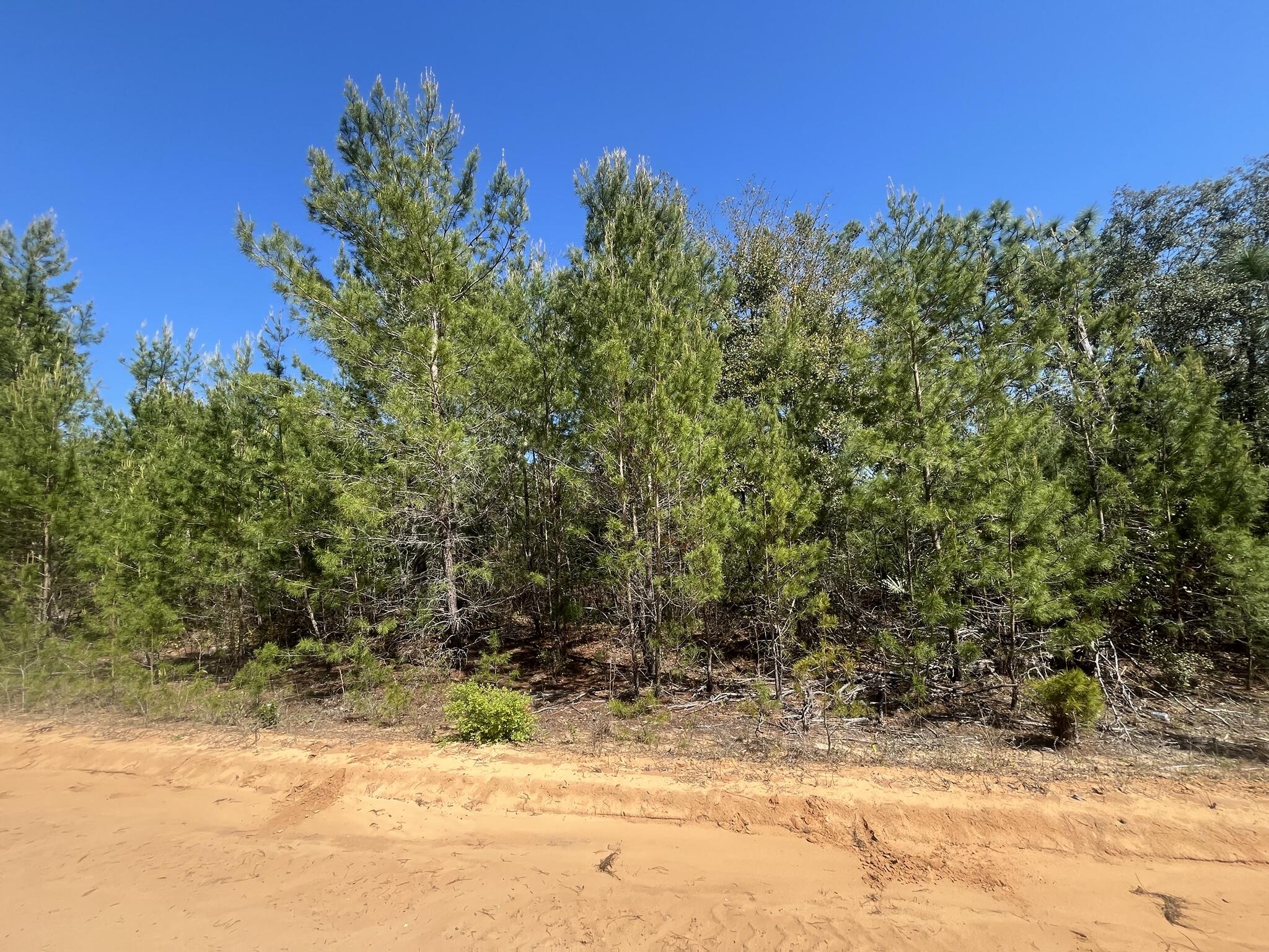 Tbd Shappell Avenue Interlachen, FL 32148 - Photo 6 of 8 a view of yellow house with a yard