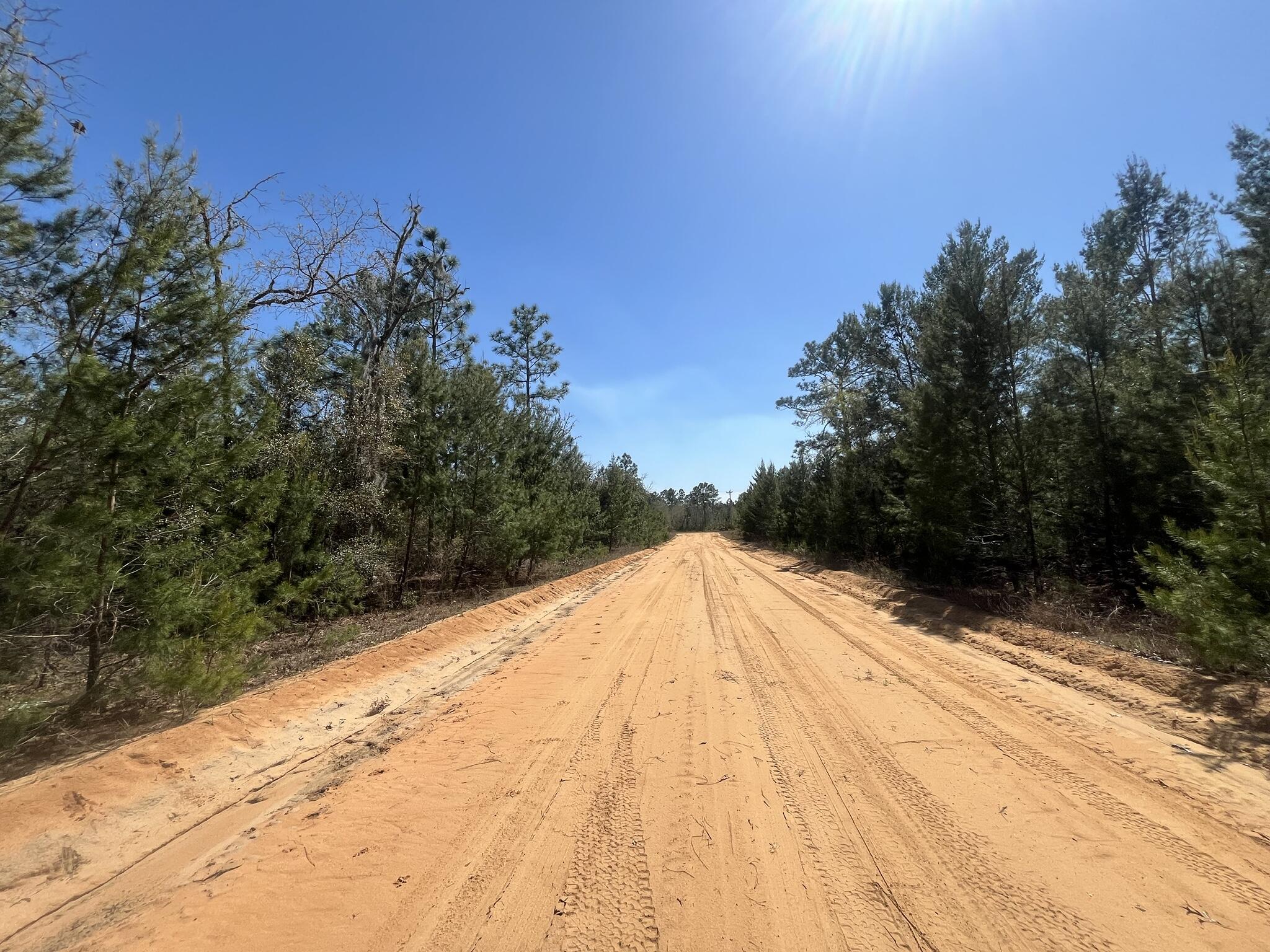 Tbd Shappell Avenue Interlachen, FL 32148 - Photo 7 of 8 a view of a backyard of the house