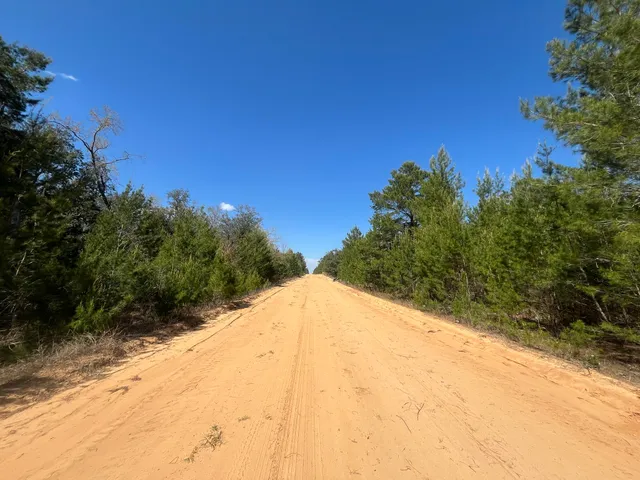 $24,800 | Tbd Shappell Avenue, Interlachen, FL 32148