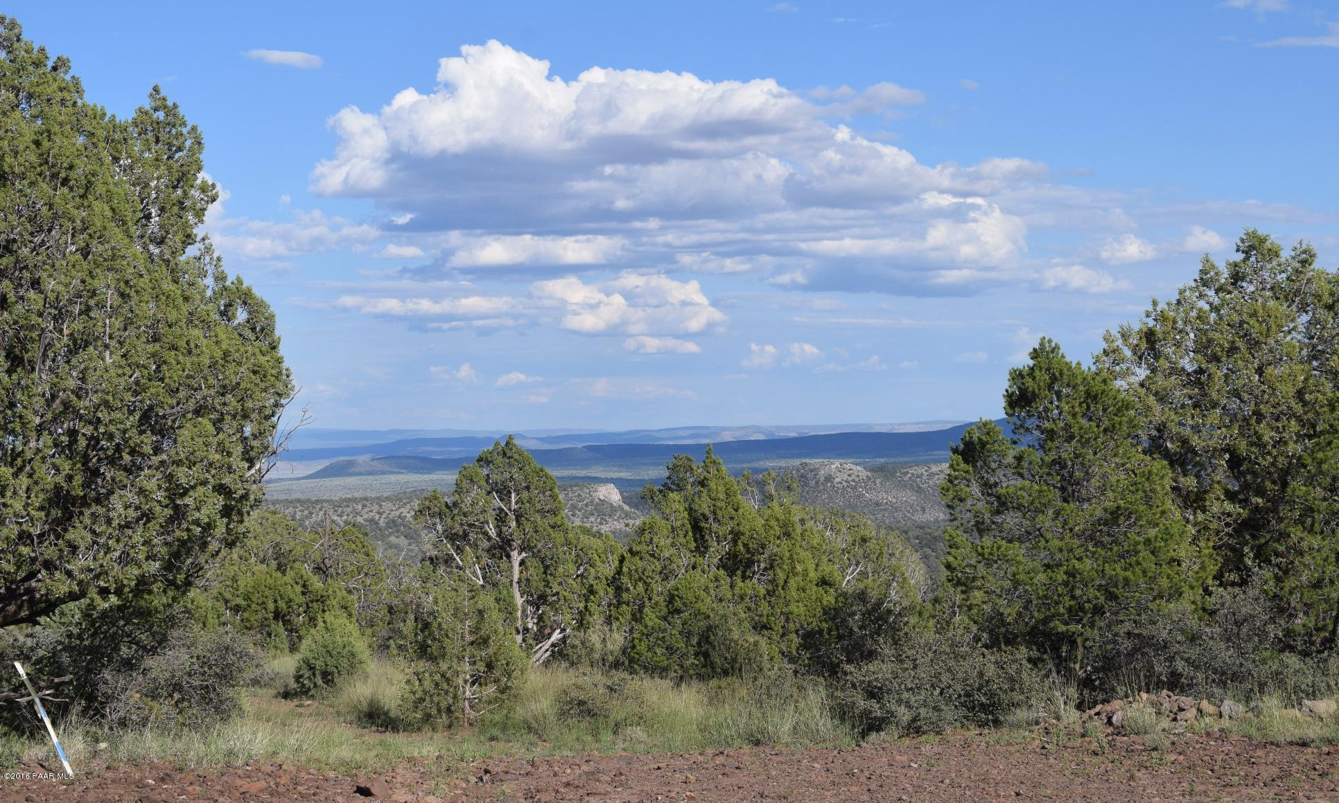 76-83 Shadow Rock Ranch Seligman, AZ 86337 - Photo 12 of 23 Purcell_Canyon