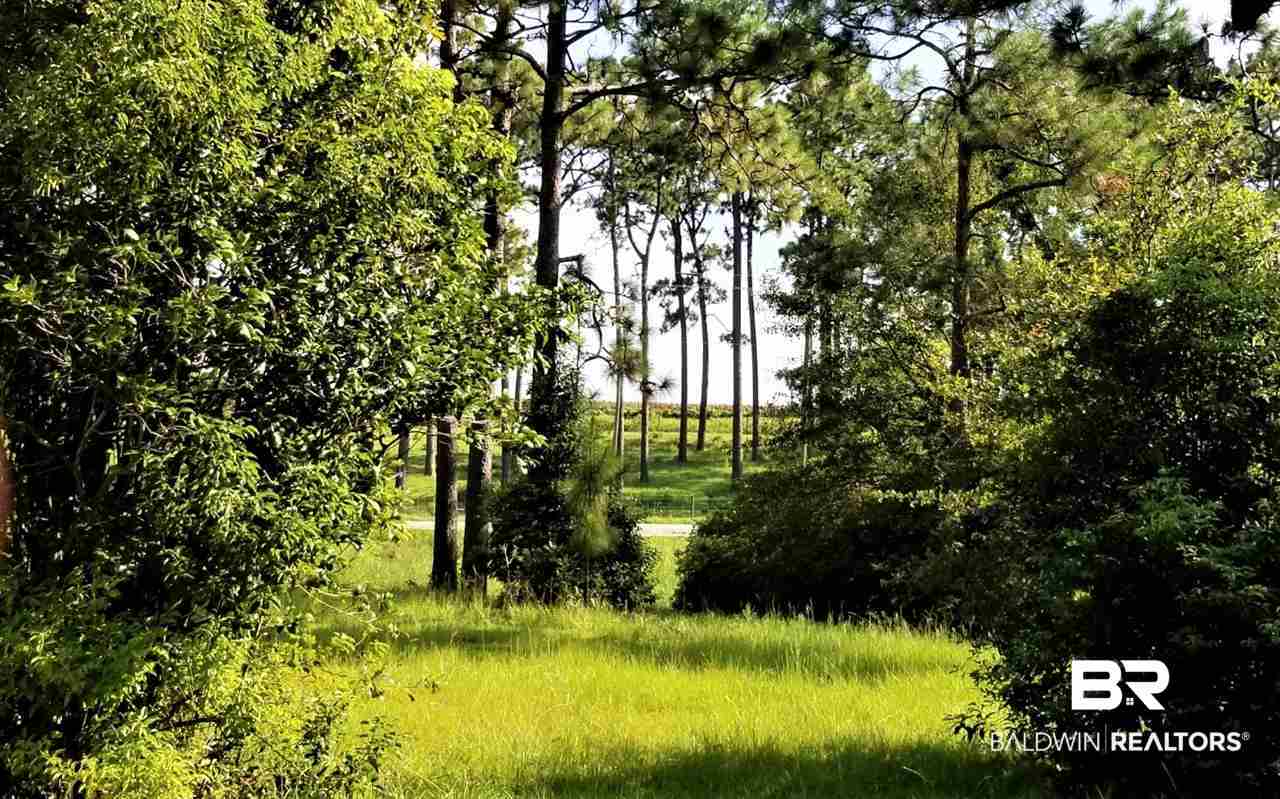 14760 County Road 64 Loxley, AL 36551 - Photo 16 of 19