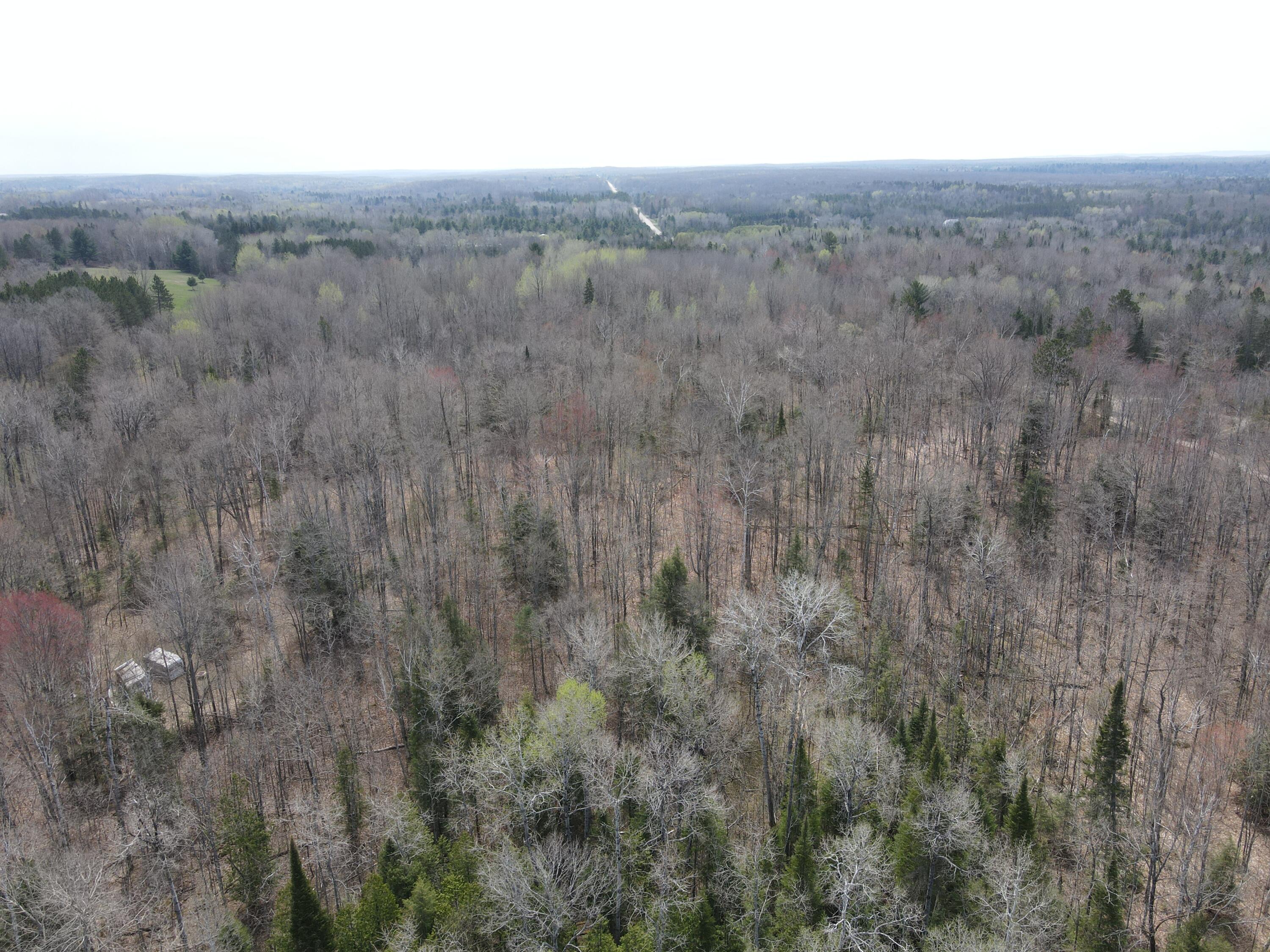 961 Dunn Road Afton, MI 49705 - Photo 3 of 15 DJI_0447