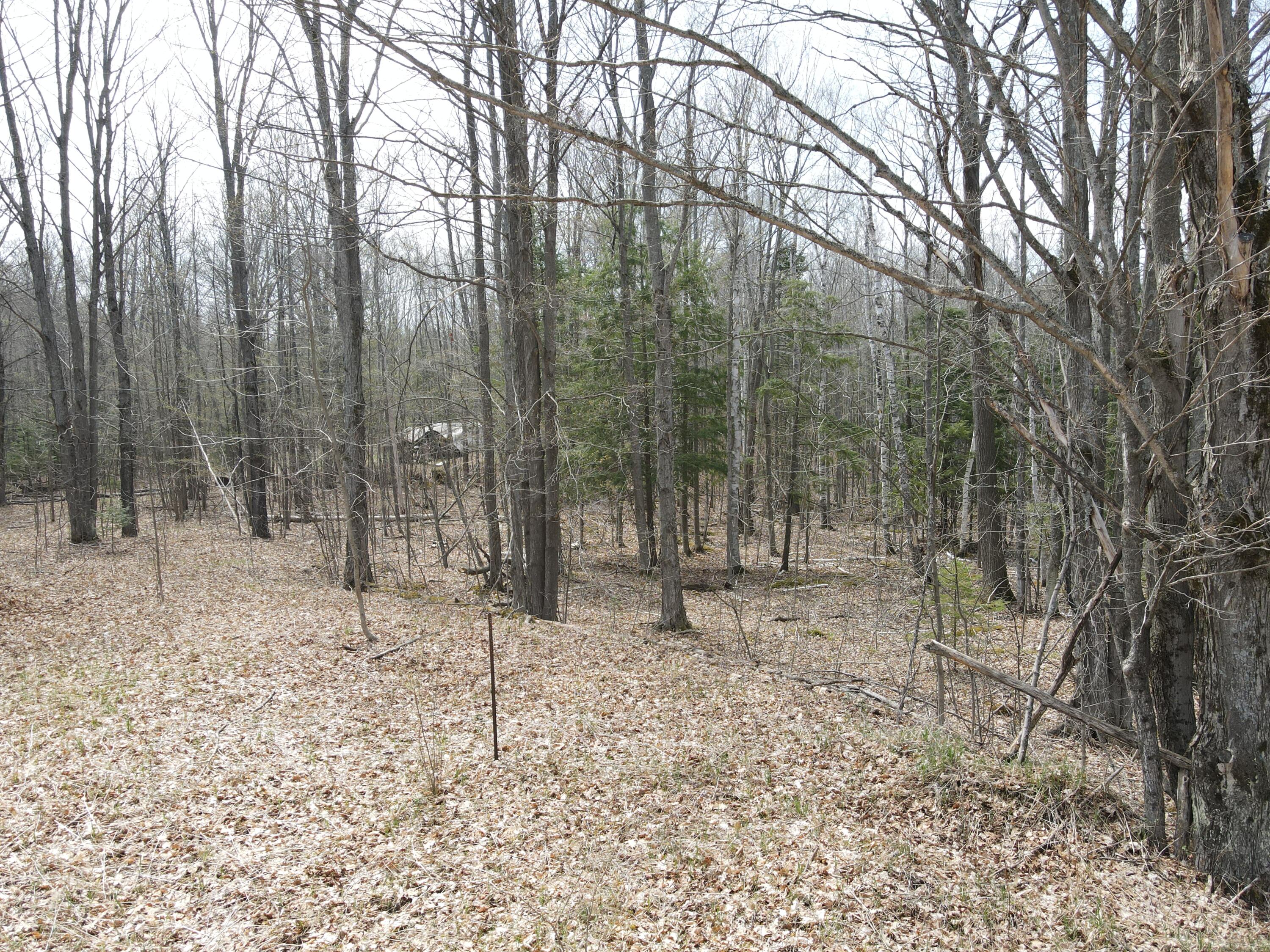 961 Dunn Road Afton, MI 49705 - Photo 4 of 15 DJI_0451