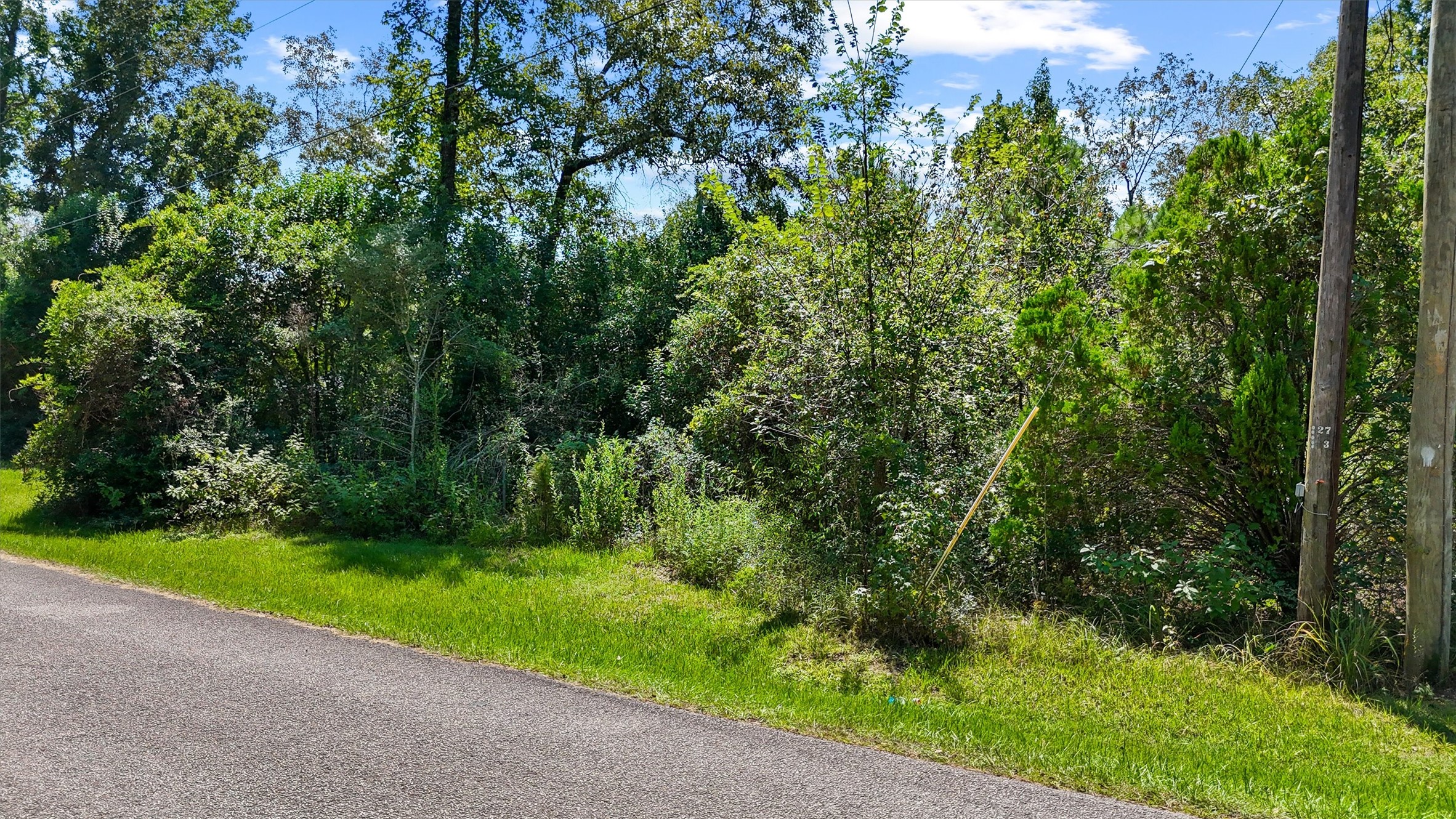 3816 Sam Houston Road Houston, TX 77002 - Photo 15 of 19 a view of a yard with plants and large trees