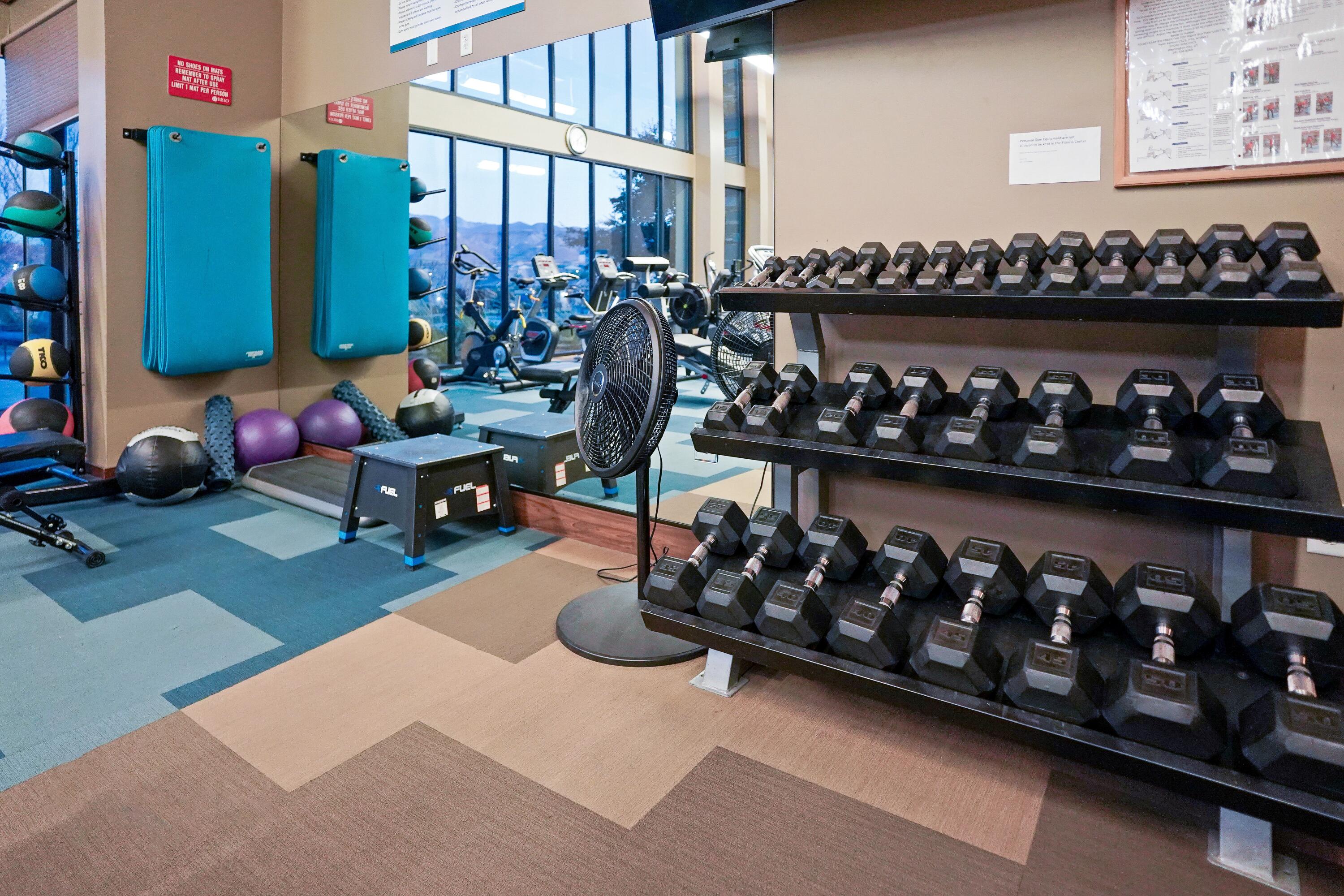 1414 Via Del Sol Washington, UT 84780 - Photo 32 of 37 Brio Gym Free Weights