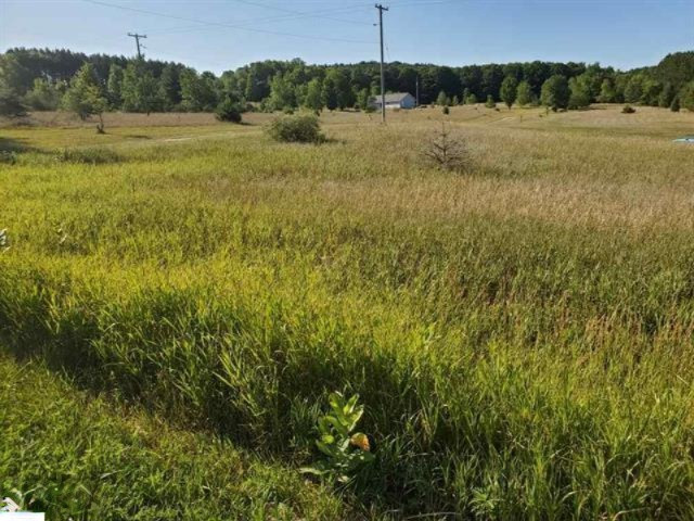 3901 West 18 1/2 Road Mesick, MI 49668 - Photo 5 of 5 1877722-1