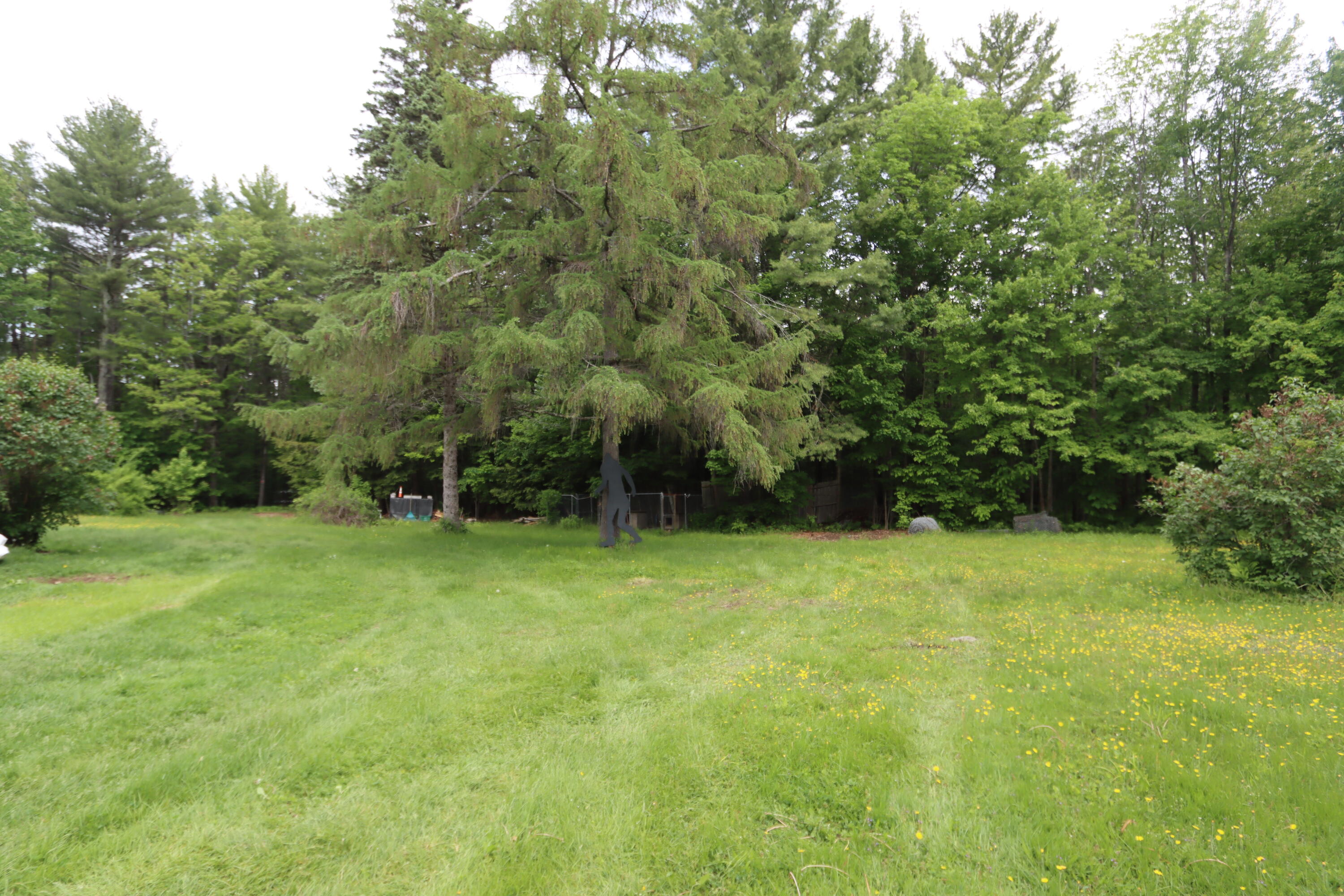 70 Harris Road Minot, ME 04258 - Photo 45 of 49 IMG_1698