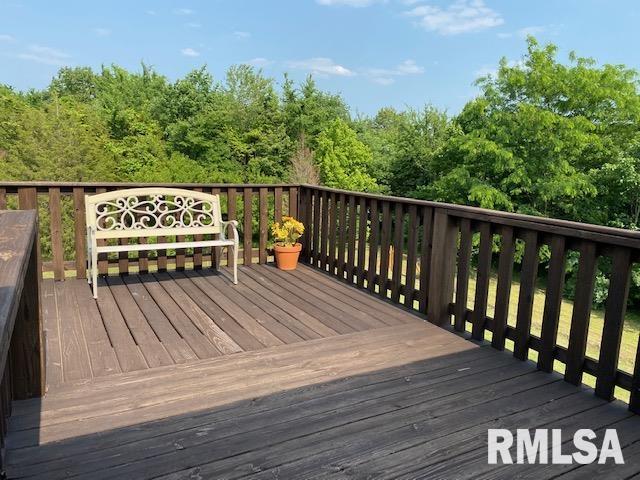 1880 South Walnut Grove Road New Burnside, IL 62967 - Photo 28 of 48