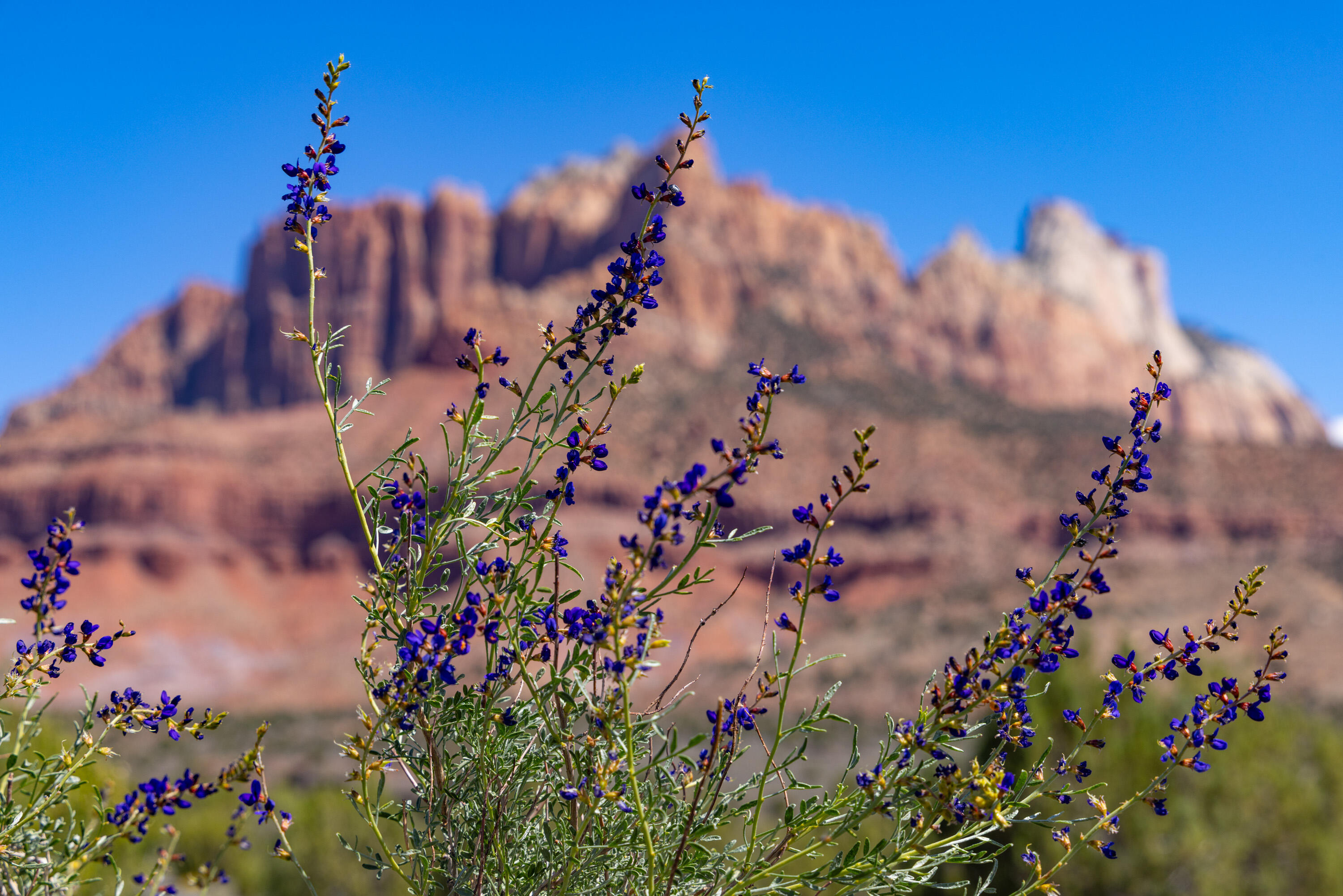 2495 Navajo Circle, Unit 69 Springdale, UT 84767 - Photo 43 of 44 43-Anasazi Plateau lot 69