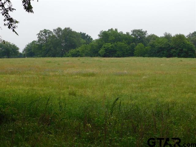 a view of a field with a trees in the background