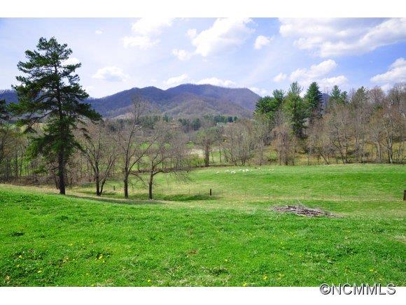 380 Vision Road Canton, NC 28716 - Photo 22 of 24