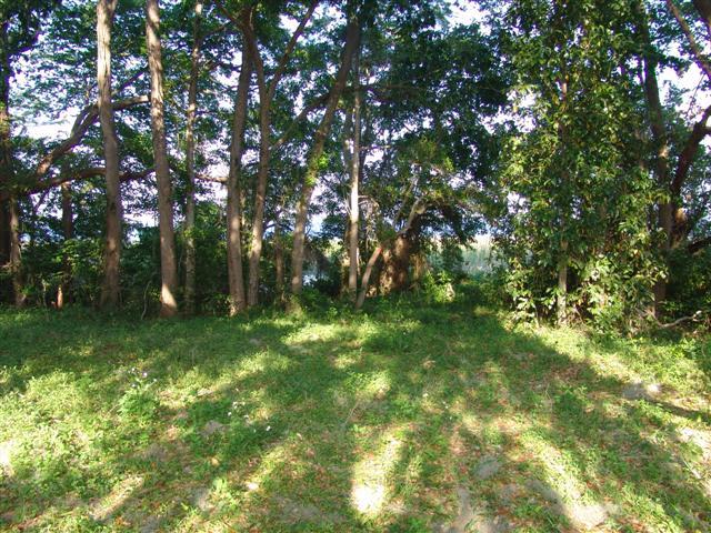 35525 Estes Road Eustis, FL 32736 - Photo 3 of 6 property