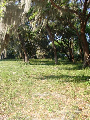 35525 Estes Road Eustis, FL 32736 - Photo 4 of 6 property
