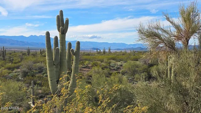 $2,200,000 | 6368 North Highway 288, Roosevelt, AZ 85545