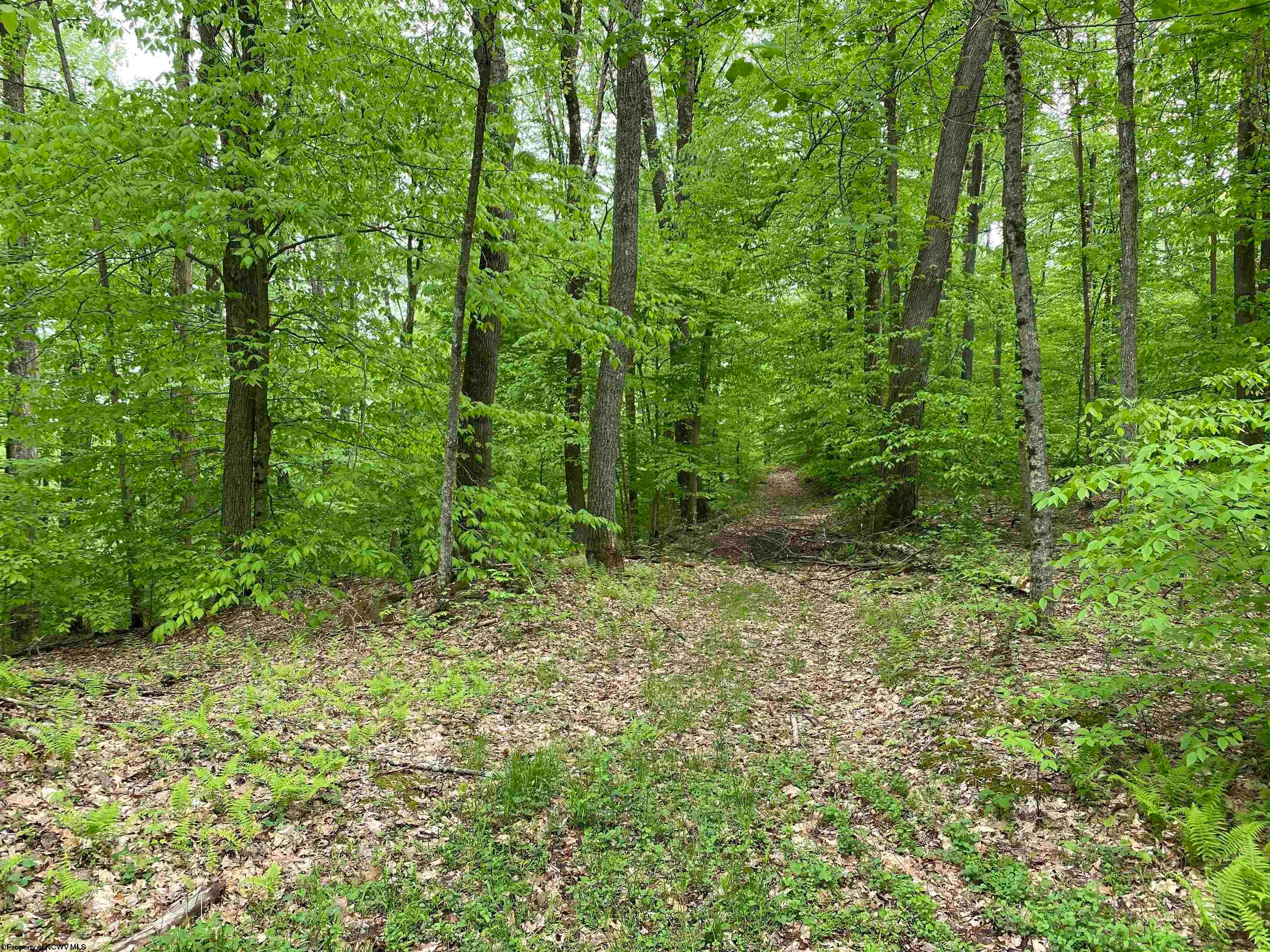 6686 Limestone Road Parsons, WV 26287 - Photo 27 of 28 Gallery Image 27