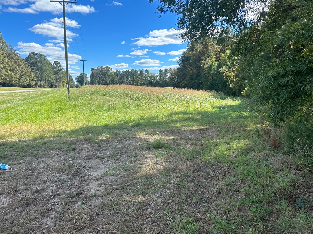 0 Highway 39 Chappells, SC 29037 - Photo 17 of 33 Gallery Image 17