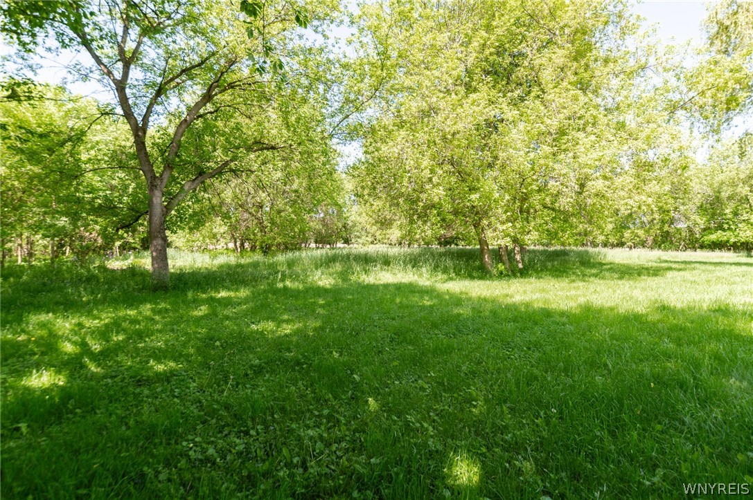 9318 Creek Road Batavia, NY 14020 - Photo 10 of 46