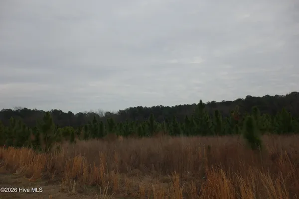 $34,999 | Lot 31 Stuarts Mill Road, Fairmont, NC 28340