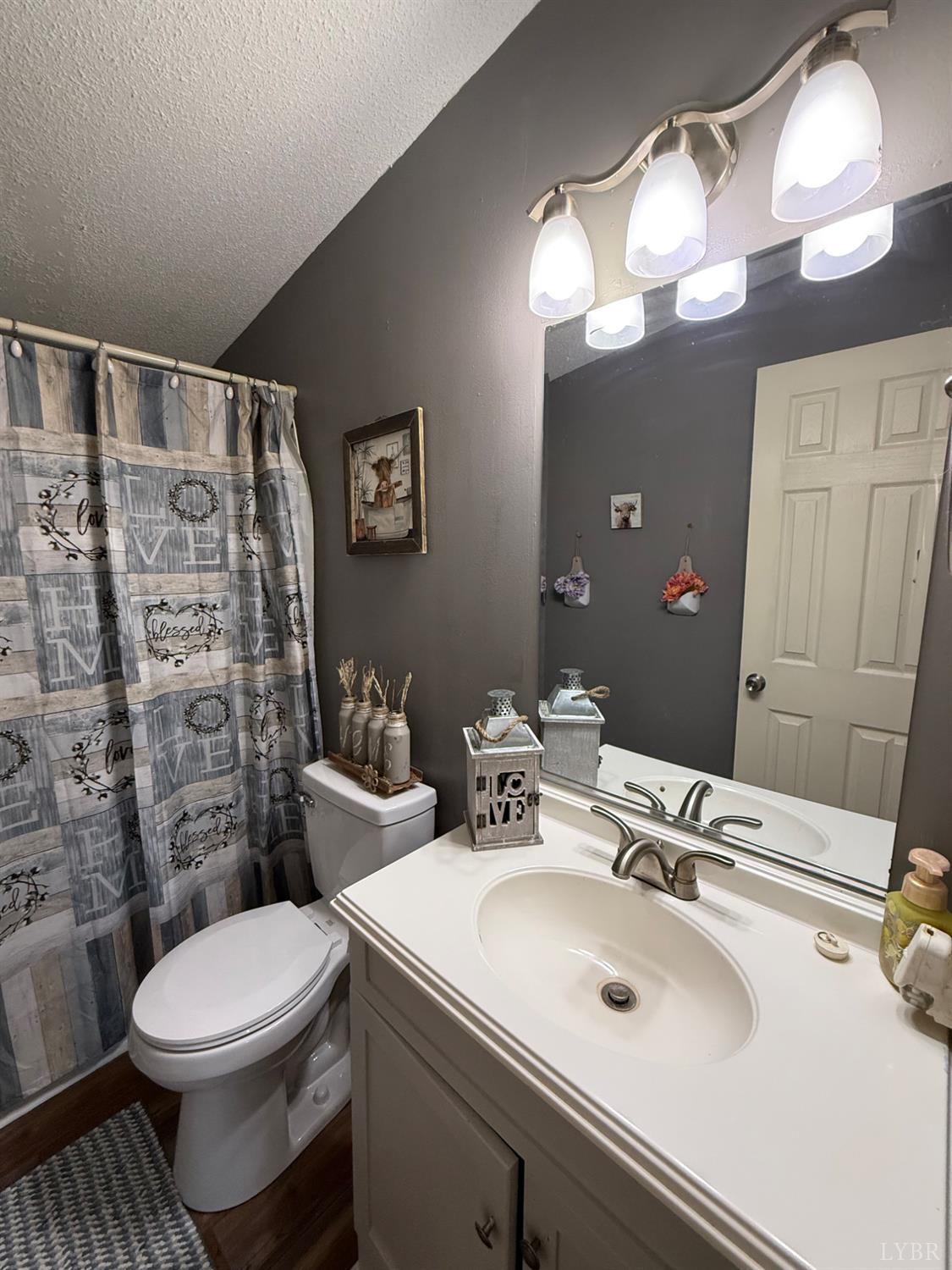 304 Plain Ridge Drive Evington, VA 24550 - Photo 7 of 16 a bathroom with a sink a toilet and a mirror