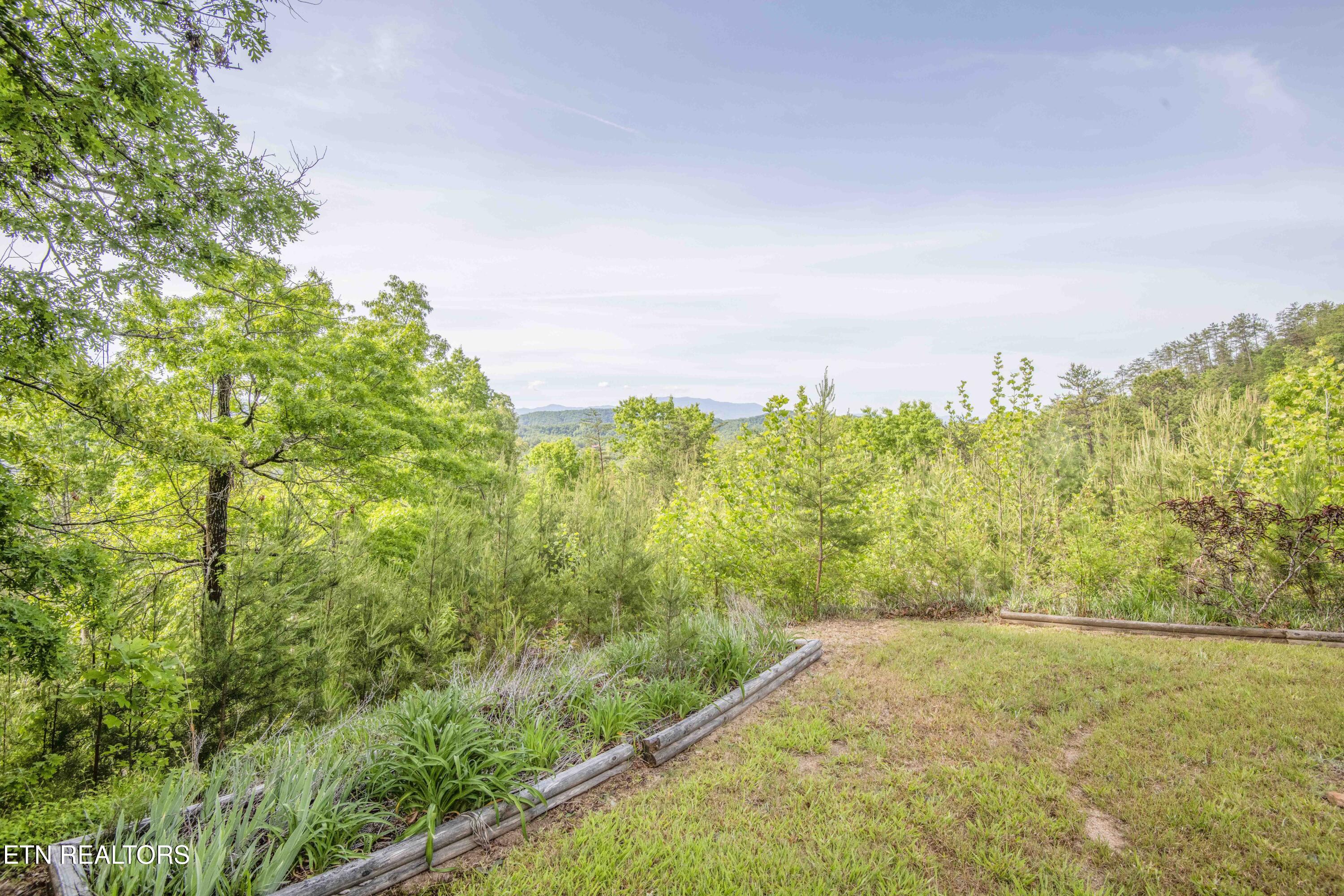 1033 Shell Mountain Road Sevierville, TN 37876 - Photo 58 of 60 yard 4_1