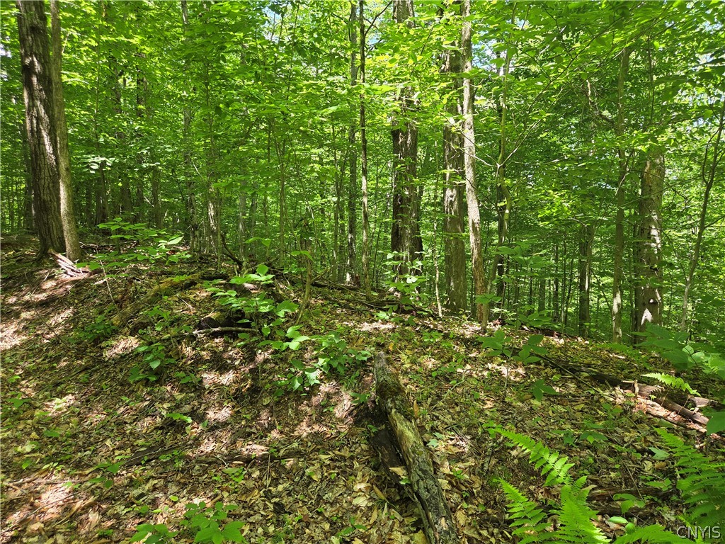 River Road Port Leyden, NY 13433 - Photo 5 of 12