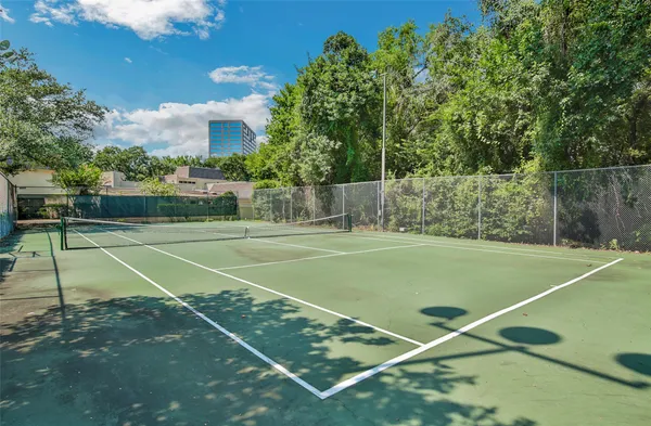 a view of a backyard with a garden and plants