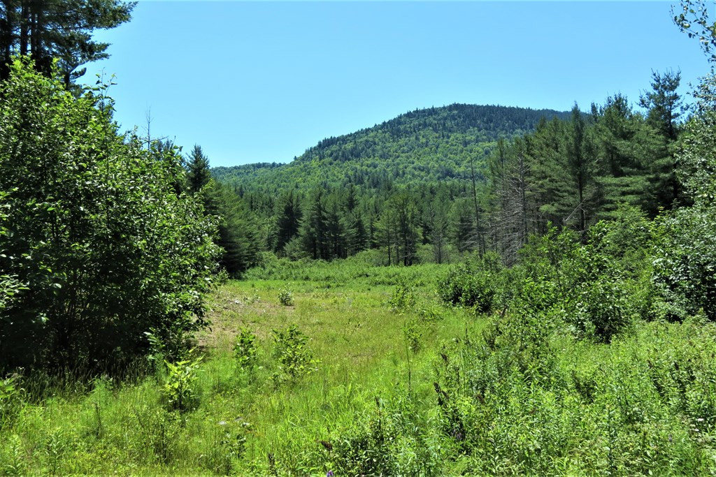 407 Upper Jay-Trumbulls Corners Road Jay, NY 12941 - Photo 22 of 25