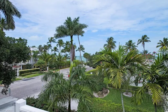 a view of a yard with plants and large trees