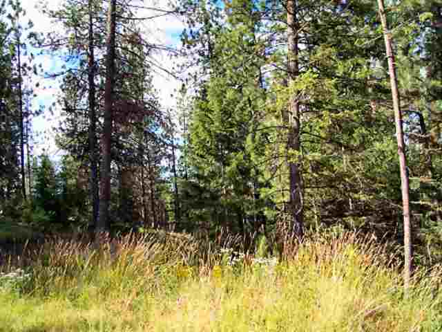 4953 Hidden Road Springdale, WA 99173 - Photo 8 of 9 Gallery Image 8