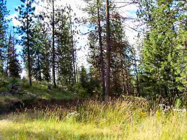 4953 Hidden Road Springdale, WA 99173 - Photo 9 of 9 Gallery Image 9
