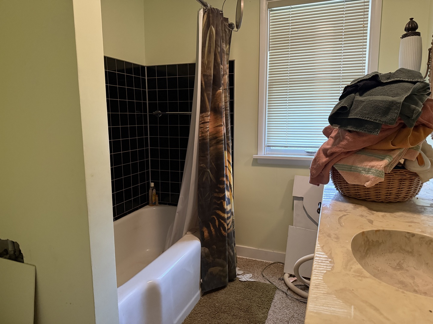 314 West Bridge Street Streator, IL 61364 - Photo 9 of 11