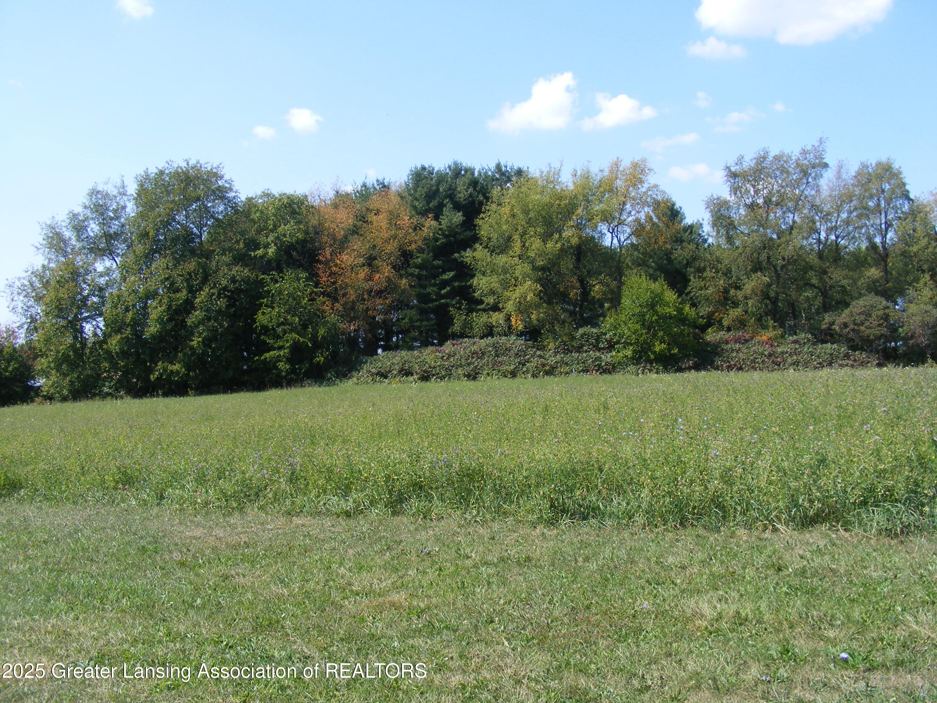 0 Marshall Road Charlotte, MI 48813 - Photo 5 of 16 MIDDLE AREA, SOME OF 4 & 5