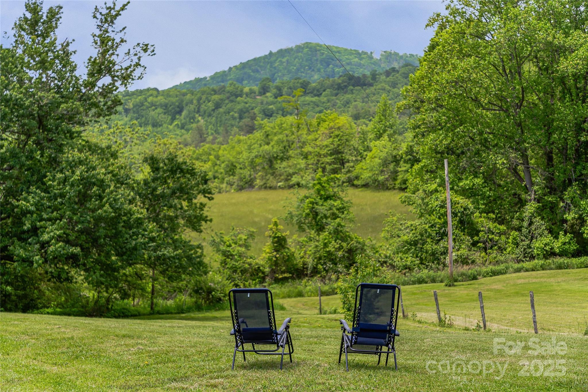 2405 Riceville Road Asheville, NC 28805 - Photo 44 of 47 Gallery Image 44