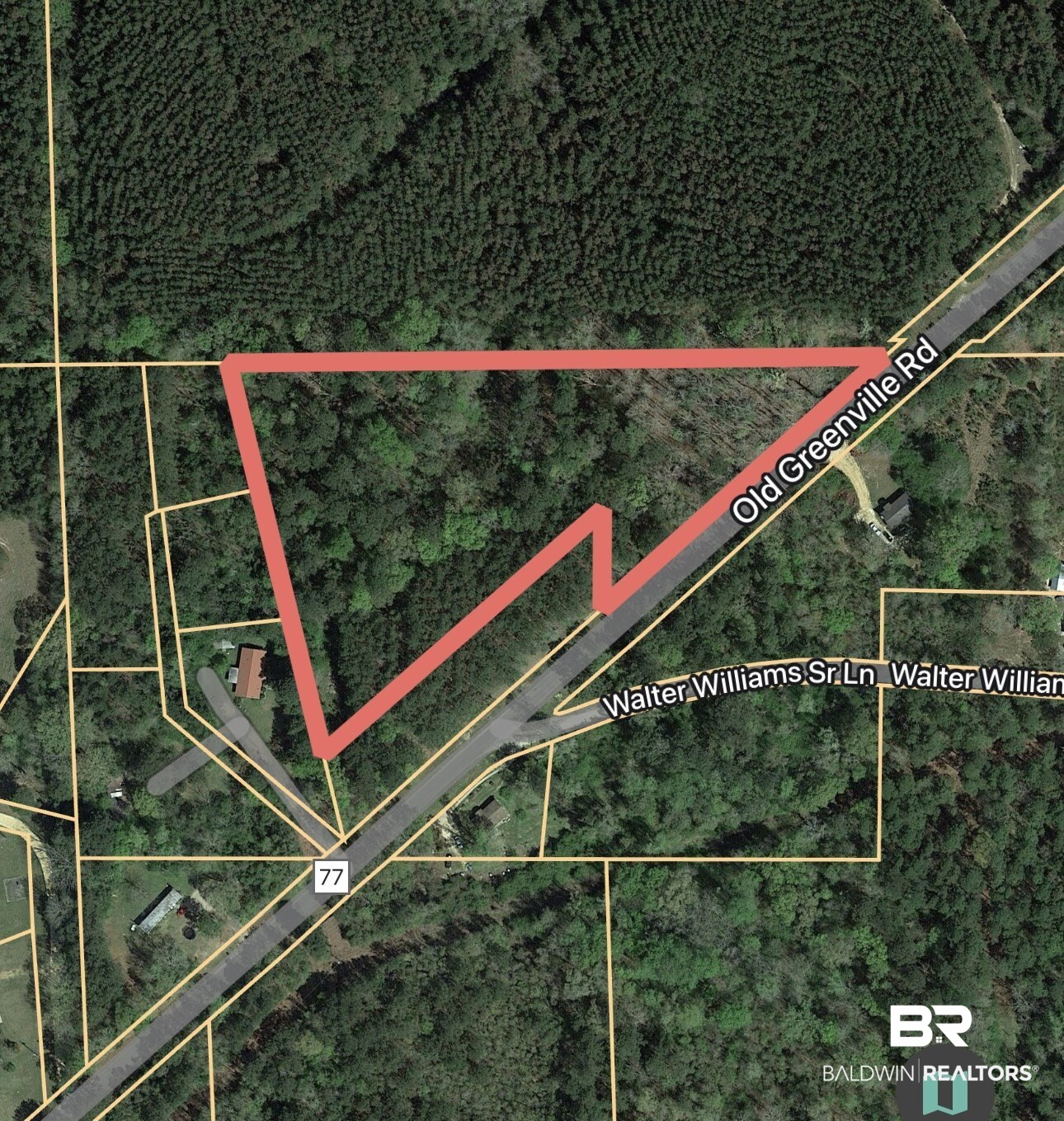 Old Greenville Road Evergreen, AL 36401 - Photo 3 of 16
