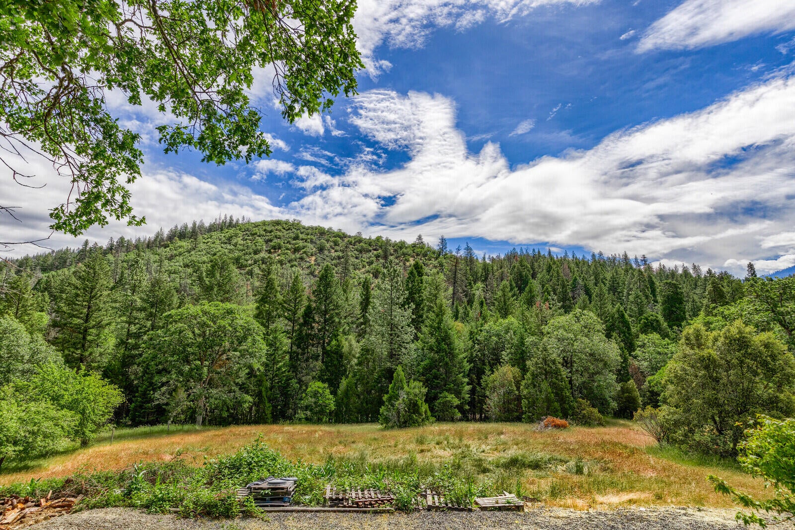 1500 Waters Gulch Road Jacksonville, OR 97530 - Photo 47 of 64 11_WG_11_mls